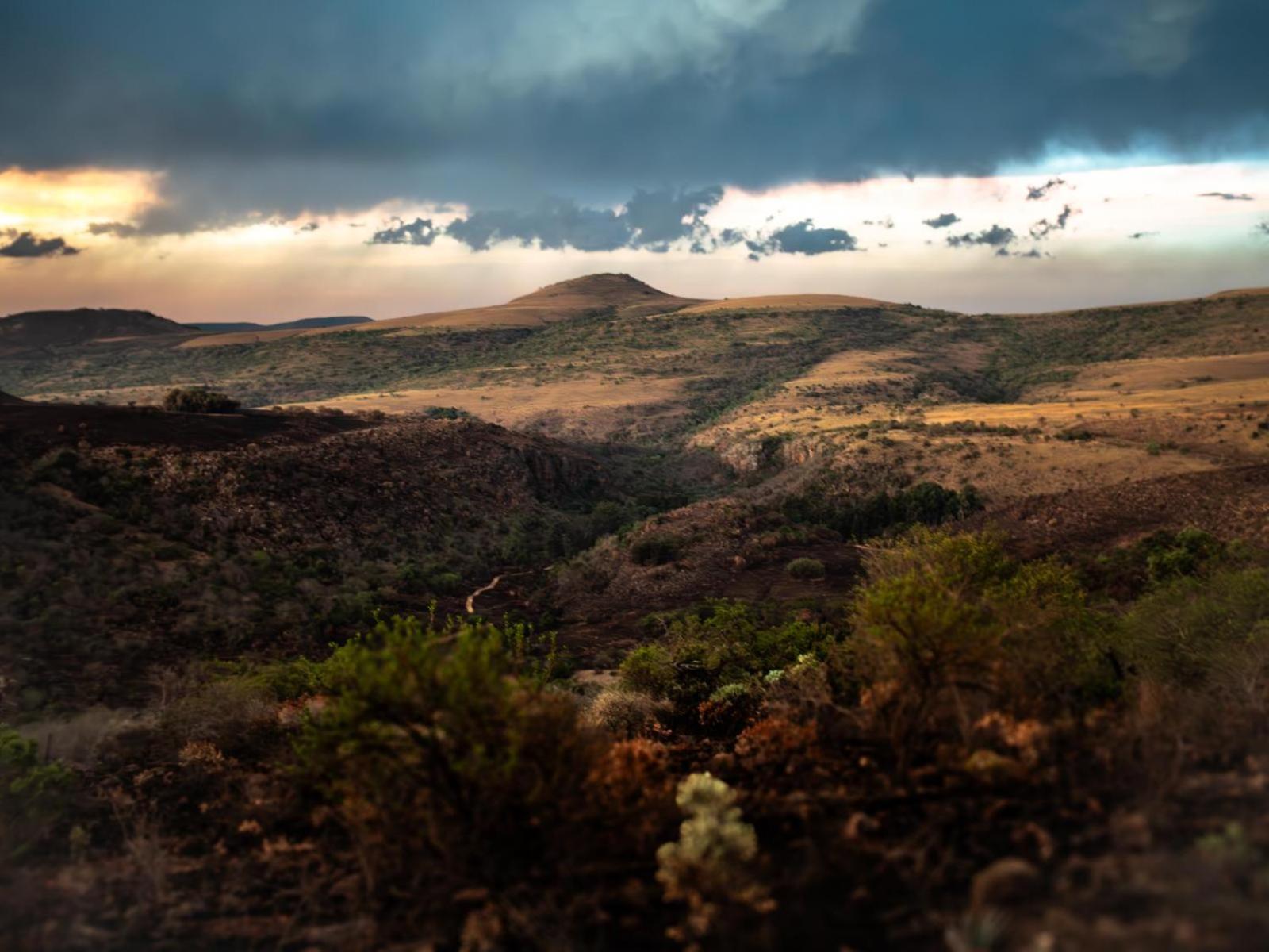 Riverbed Africa Lydenburg Room photo